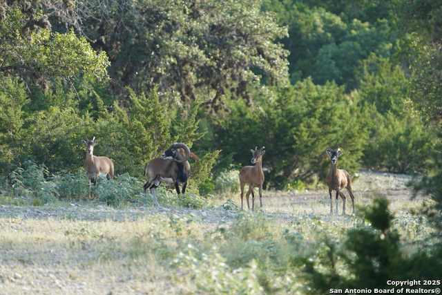 Image 60 of 66 For 3293 Little Creek Rd N