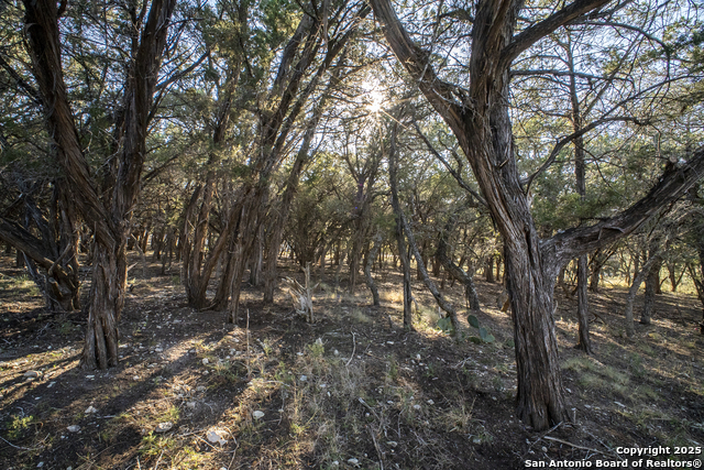 Image 8 of 13 For 168 Forest Ridge