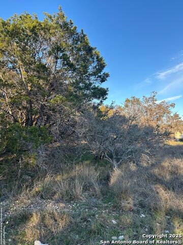 Listing photo id 4 for 1145 Overbrook Ln