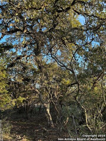 Image 5 of 6 For 1151 Overbrook Ln