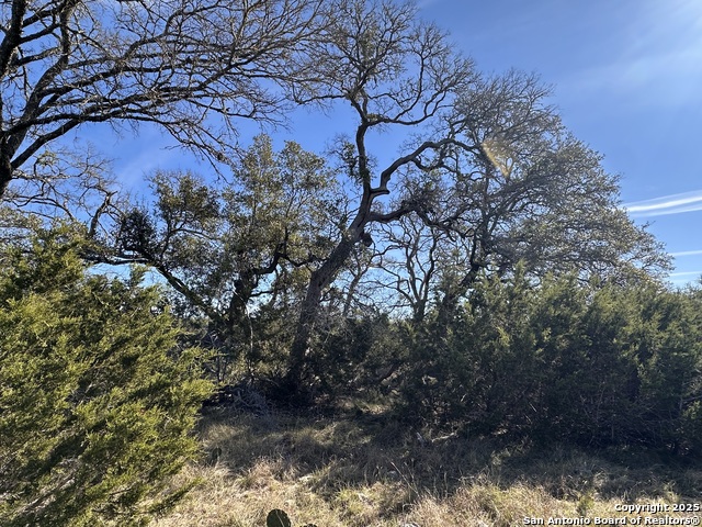 Image 6 of 17 For 1426 Trailhead