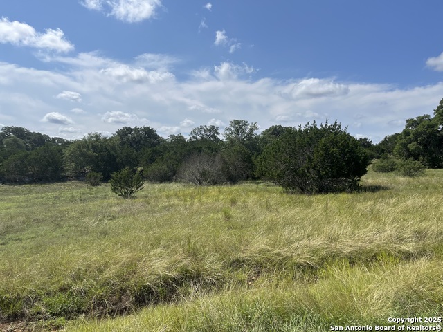 Image 2 of 8 For Lot 137 Palomino Springs