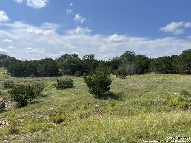 Image 3 of 8 For Lot 137 Palomino Springs