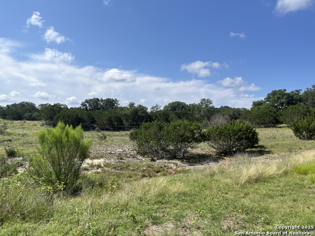 Image 4 of 8 For Lot 137 Palomino Springs