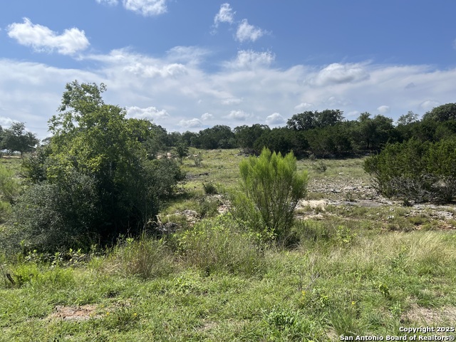 Image 5 of 8 For Lot 137 Palomino Springs