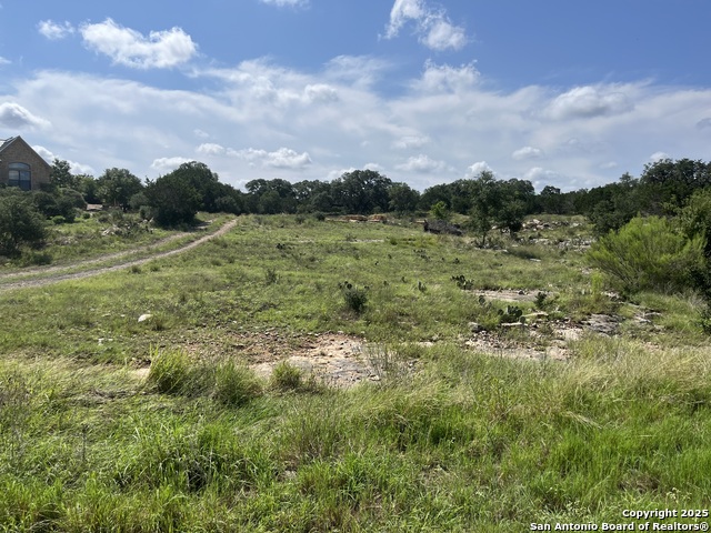 Image 6 of 8 For Lot 137 Palomino Springs
