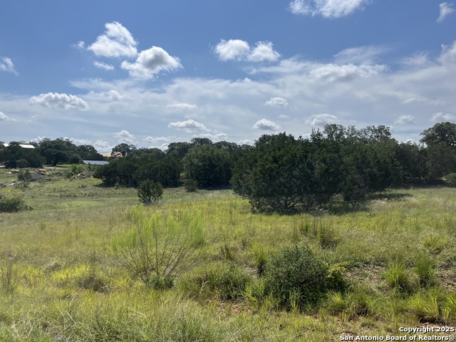 Image 7 of 8 For Lot 137 Palomino Springs