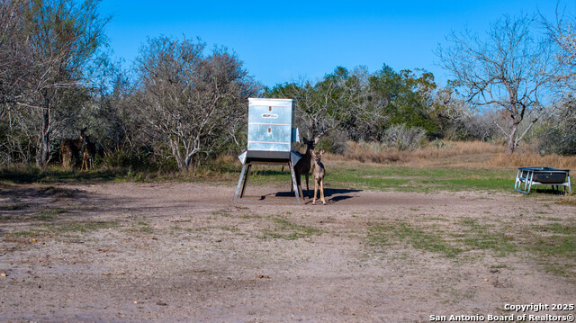 Listing photo id 27 for 998 County Road 361