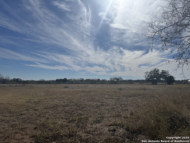 Details for 00 Wisdom Rd Lot 17, Atascosa, TX 78002
