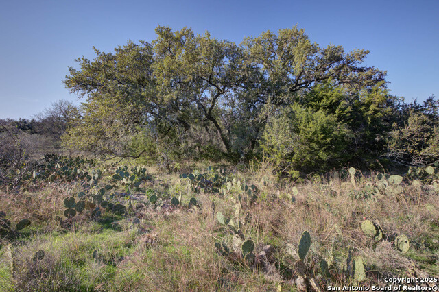 Details for 132 Maple Terrace, New Braunfels, TX 78132