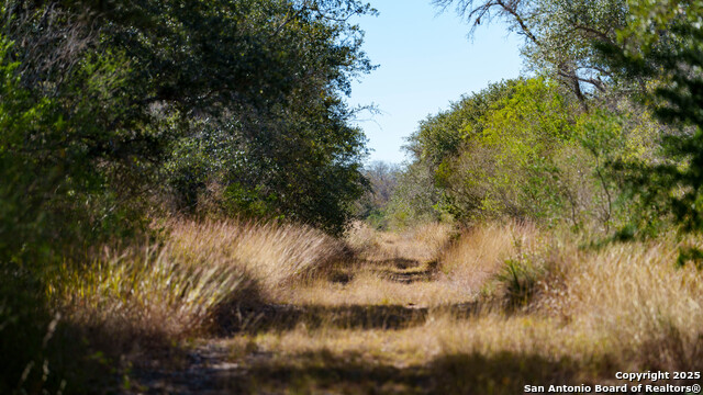 Image 32 of 43 For 000 County Road 405