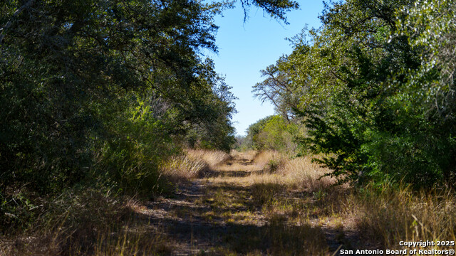 Image 33 of 43 For 000 County Road 405