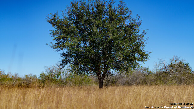 Image 37 of 43 For 000 County Road 405