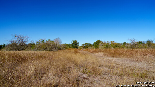 Image 40 of 43 For 000 County Road 405