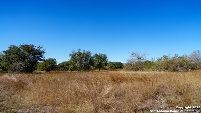 Image 41 of 43 For 000 County Road 405