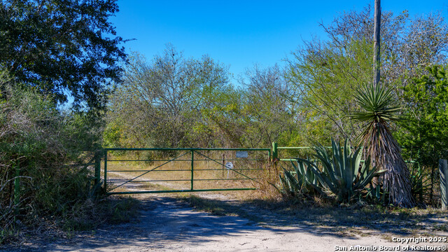 Image 42 of 43 For 000 County Road 405