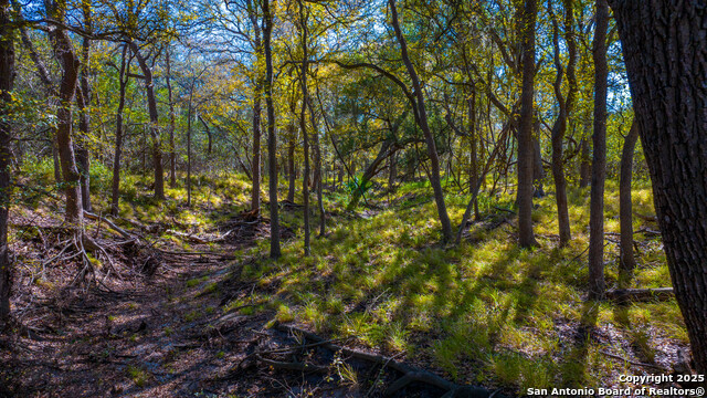 Image 11 of 17 For 000 Private Road 4010