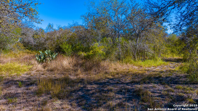 Image 15 of 17 For 000 Private Road 4010