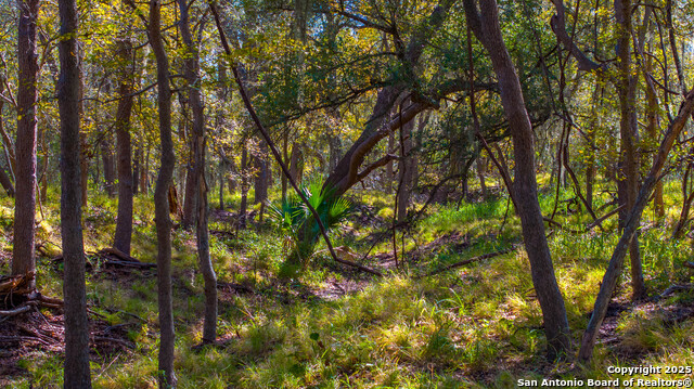 Image 16 of 17 For 000 Private Road 4010