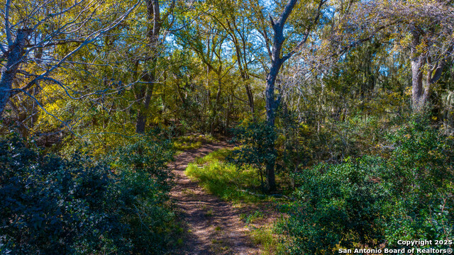 Image 3 of 17 For 000 Private Road 4010