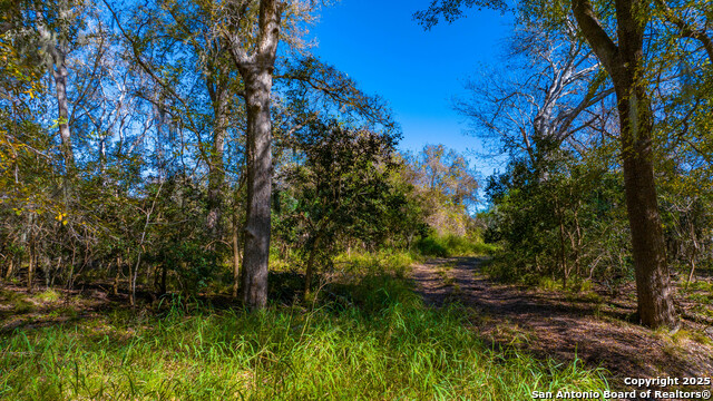 Image 13 of 22 For 000 Private Road 4002