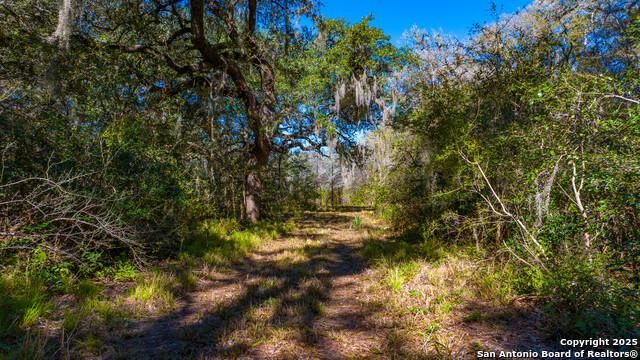 Image 15 of 22 For 000 Private Road 4002