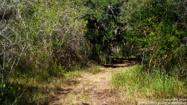 Image 19 of 22 For 000 Private Road 4002