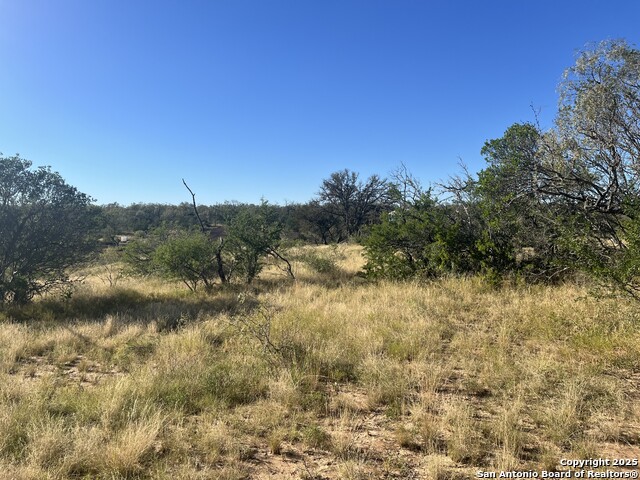 Listing photo id 23 for 3609 Fm 1796