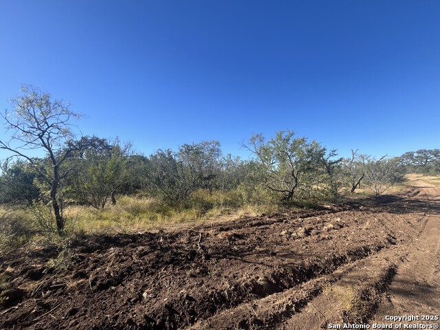 Listing photo id 24 for 3609 Fm 1796