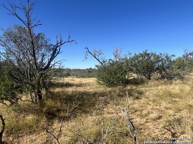 Listing photo id 25 for 3609 Fm 1796