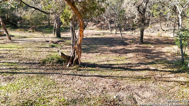 Image 44 of 54 For 19517 Scenic Loop