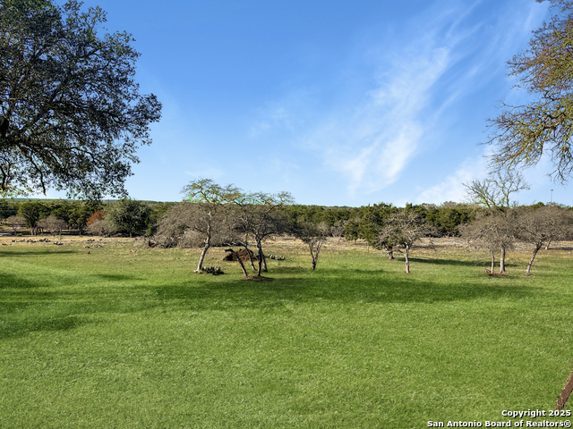Listing photo id 24 for 565 Red Bluff Ranch Road