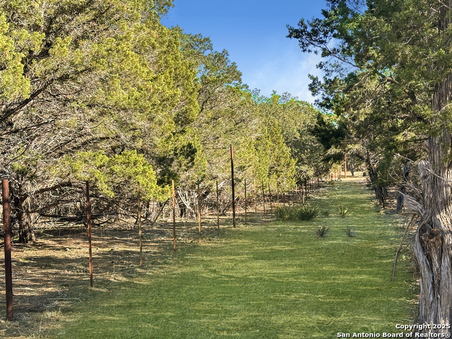 Listing photo id 25 for 565 Red Bluff Ranch Road