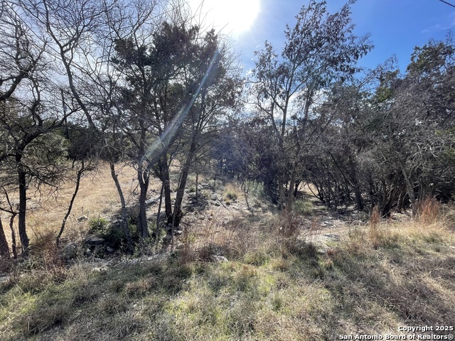 Listing photo id 1 for 1043 Summit Bluff