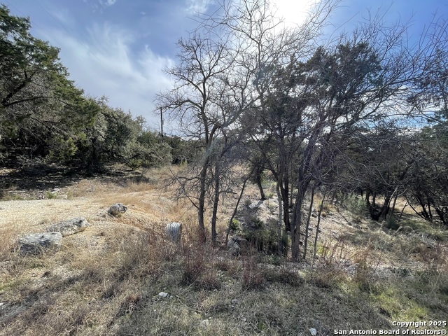 Listing photo id 2 for 1043 Summit Bluff