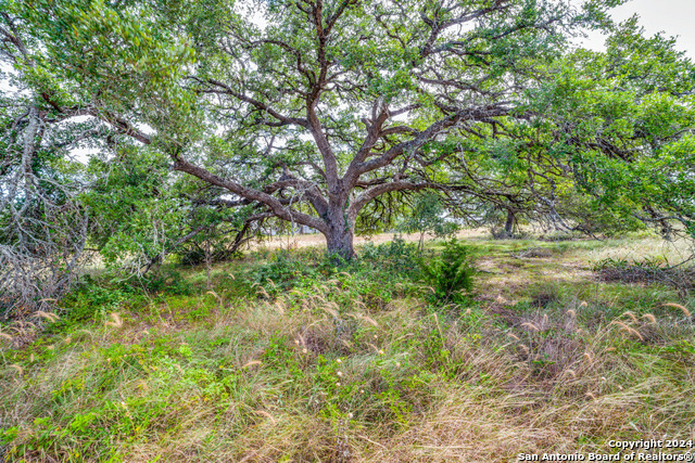 Image 12 of 22 For 34764 Casita Creek Ln