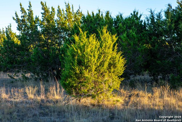 Image 11 of 39 For 000 Winecup Dr.