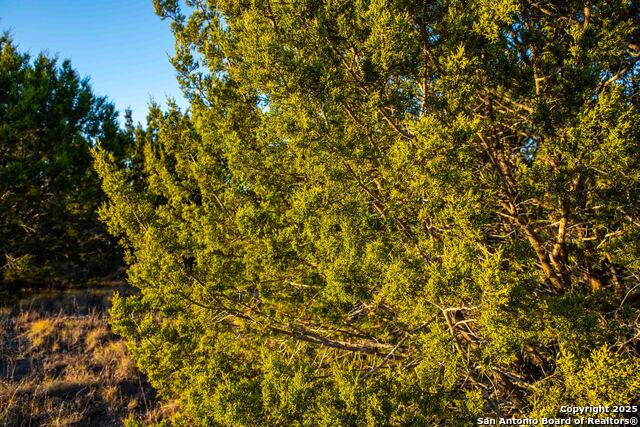 Image 16 of 39 For 000 Winecup Dr.