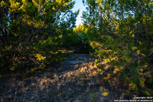 Image 17 of 39 For 000 Winecup Dr.