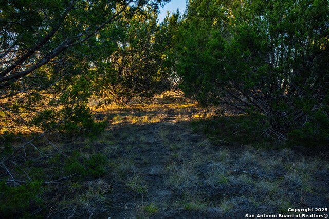 Image 18 of 39 For 000 Winecup Dr.