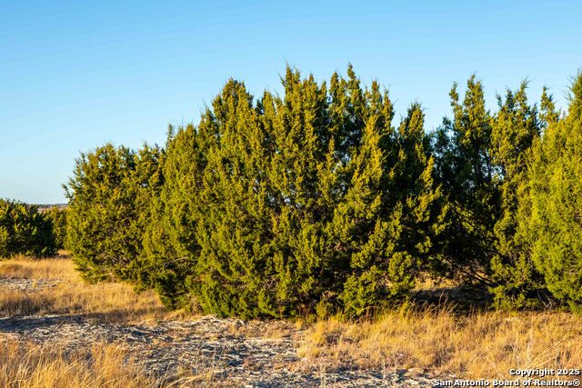 Image 2 of 39 For 000 Winecup Dr.