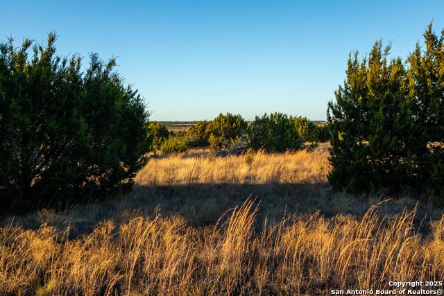 Image 20 of 39 For 000 Winecup Dr.