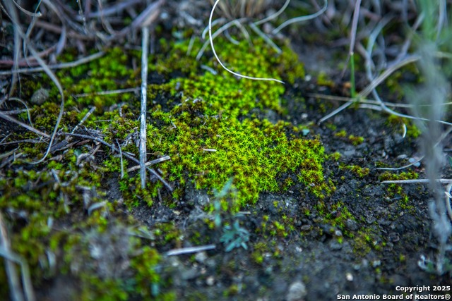 Image 25 of 39 For 000 Winecup Dr.