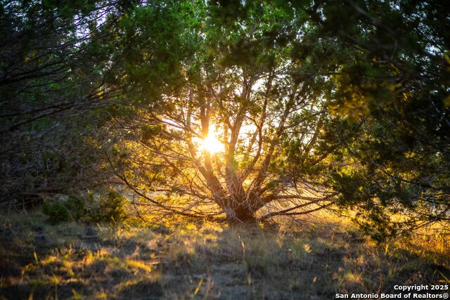 Image 26 of 39 For 000 Winecup Dr.