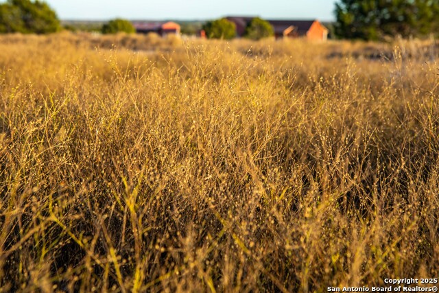 Image 3 of 39 For 000 Winecup Dr.