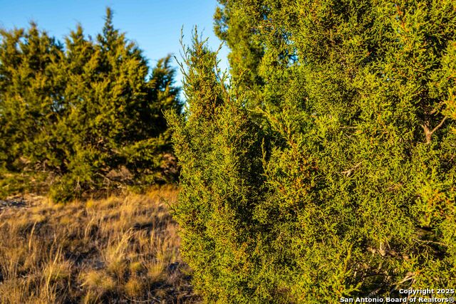 Image 7 of 39 For 000 Winecup Dr.