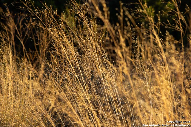 Image 8 of 39 For 000 Winecup Dr.