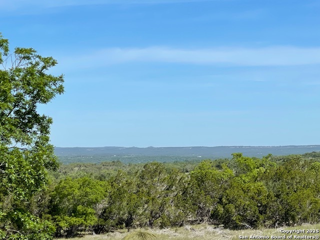 Details for 3788 Byrd Ranch Rd, Johnson City, TX 78636