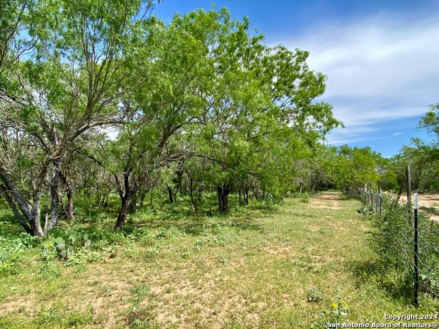 Image 6 of 34 For Tbd Dairy Road