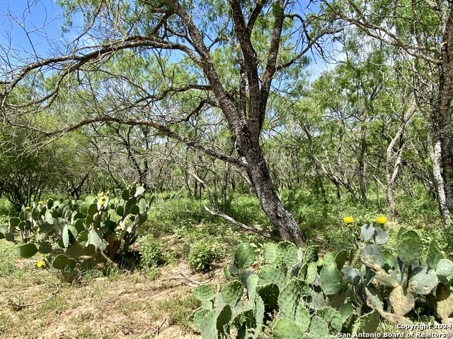 Image 8 of 34 For Tbd Dairy Road